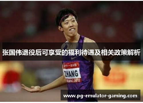 张国伟退役后可享受的福利待遇及相关政策解析