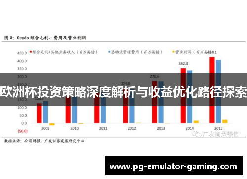 欧洲杯投资策略深度解析与收益优化路径探索 欧洲杯投资策略深度解析与收益优化路径探索
