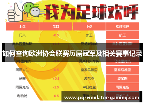 如何查询欧洲协会联赛历届冠军及相关赛事记录