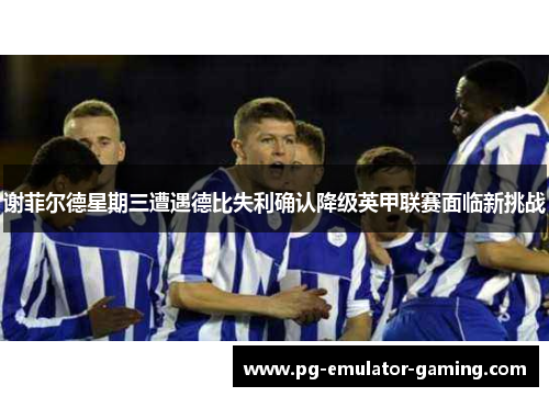 谢菲尔德星期三遭遇德比失利确认降级英甲联赛面临新挑战