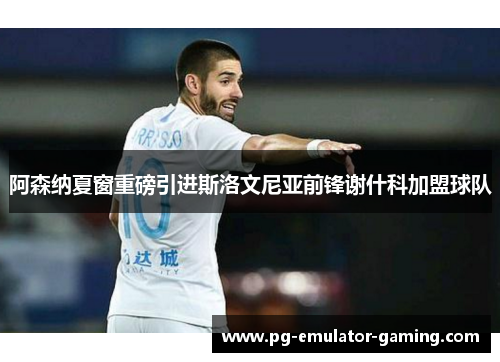 阿森纳夏窗重磅引进斯洛文尼亚前锋谢什科加盟球队